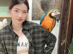 -吉丁鸟咖·异宠·寄养