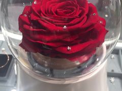 -ROSEONLY诺誓(沈阳万象城店)