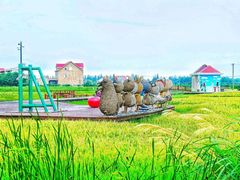 -上海长兴岛郊野公园