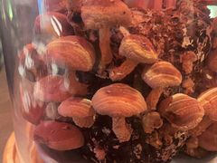 -捞王锅物料理(金华义乌之心店)