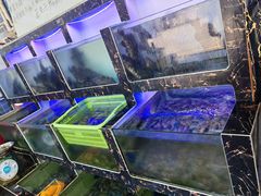 -众味海鲜大排档·活海鲜·潮汕味(南澳店)