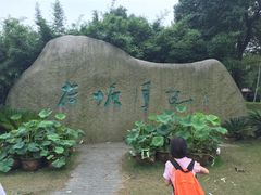 -荷塘月色湿地公园·向阳花洲