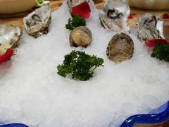 鲍鱼-神洲四海大酒楼(王府井澳门中心店)