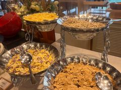 -国家会议中心大酒店