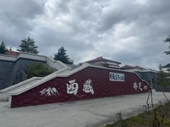 -林芝工布庄园希尔顿酒店-猎味中餐厅