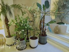 -HUATA 'Holiday Plan 花榻