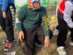 -杭州滨江欧文幼儿园