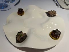 -蝶舍·MAISON PAPILLON