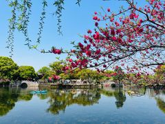 -无锡蠡湖国家湿地公园-蠡园