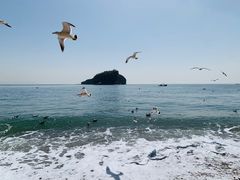 -棒棰岛宾馆景区