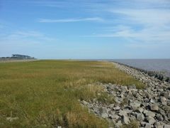 android_upload_pic-南汇嘴观海公园