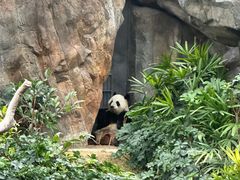 -香港海洋公园