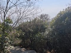 -巢湖姥山岛
