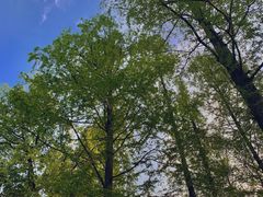 -浙江西子宾馆·牡丹厅