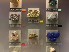 -中国地质博物馆