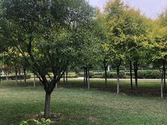 -洨河生态公园