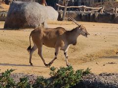 -杭州野生动物世界