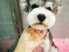 -宠福鑫康馨动物医院·骨科·眼科