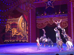 -珠海横琴长隆《卡卡虎奇遇记》