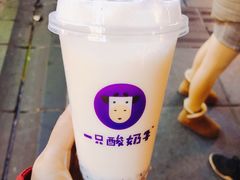 -一只酸奶牛(八一路店)