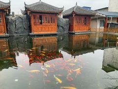 -九尺赵老四鲜鹅肠火锅