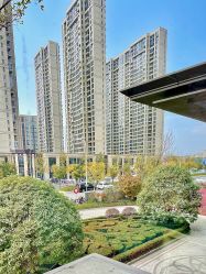 -涌泉妈咪树通乳·产后恢复