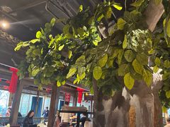 -北平盛世·新京菜·北京烤鸭(劲松·双井店)