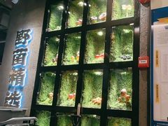 -野·大山里野生菌石锅土鸡(益田假日店)