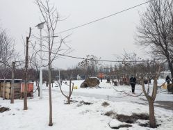 -优沃得自然教育农场·冰雪乐园·生日会·研学