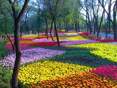 花海-沈阳植物园