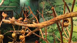 -Zoolung Zoolung动物主题公园(海信广场店)