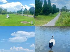 -盐城丹顶鹤湿地生态旅游区