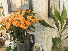 -绿房子方寸咖啡(星海名城店)