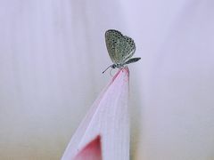 -德基艺术博物馆
