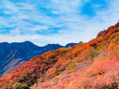 -周口店坡峰岭风景区