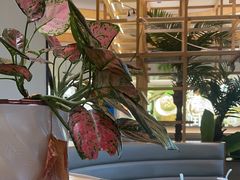 -椰小名·竹笙椰子鸡(中堂店)