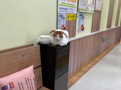 -瑞鹏宠物医院·宠保定点·心脏科·内科(御桥分院)