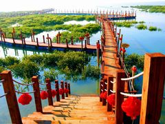 -北海金海湾红树林生态旅游区