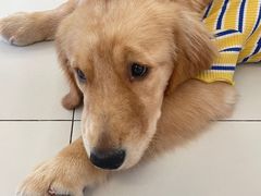 -怪兽屋·羊驼·猫咖·狗咖(俊华广场店)