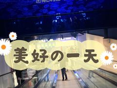 -盒马X会员店(上海森兰商都店)