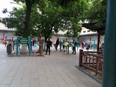 -文瀛公园