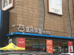 -盒马鲜生(大成店)