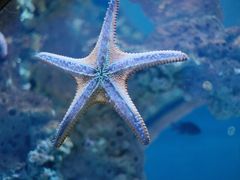 -海合安武汉极地海洋公园