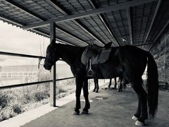 -丽江植物园