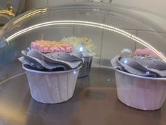 -多乐之日(颐堤港店)