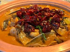 -柿合缘新京菜(国金中心商场店)