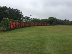 -万绿园
