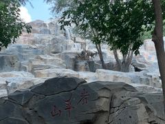 -北京野生动物园