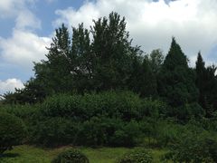 -望湖公园
