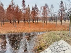 -黄海国家森林公园